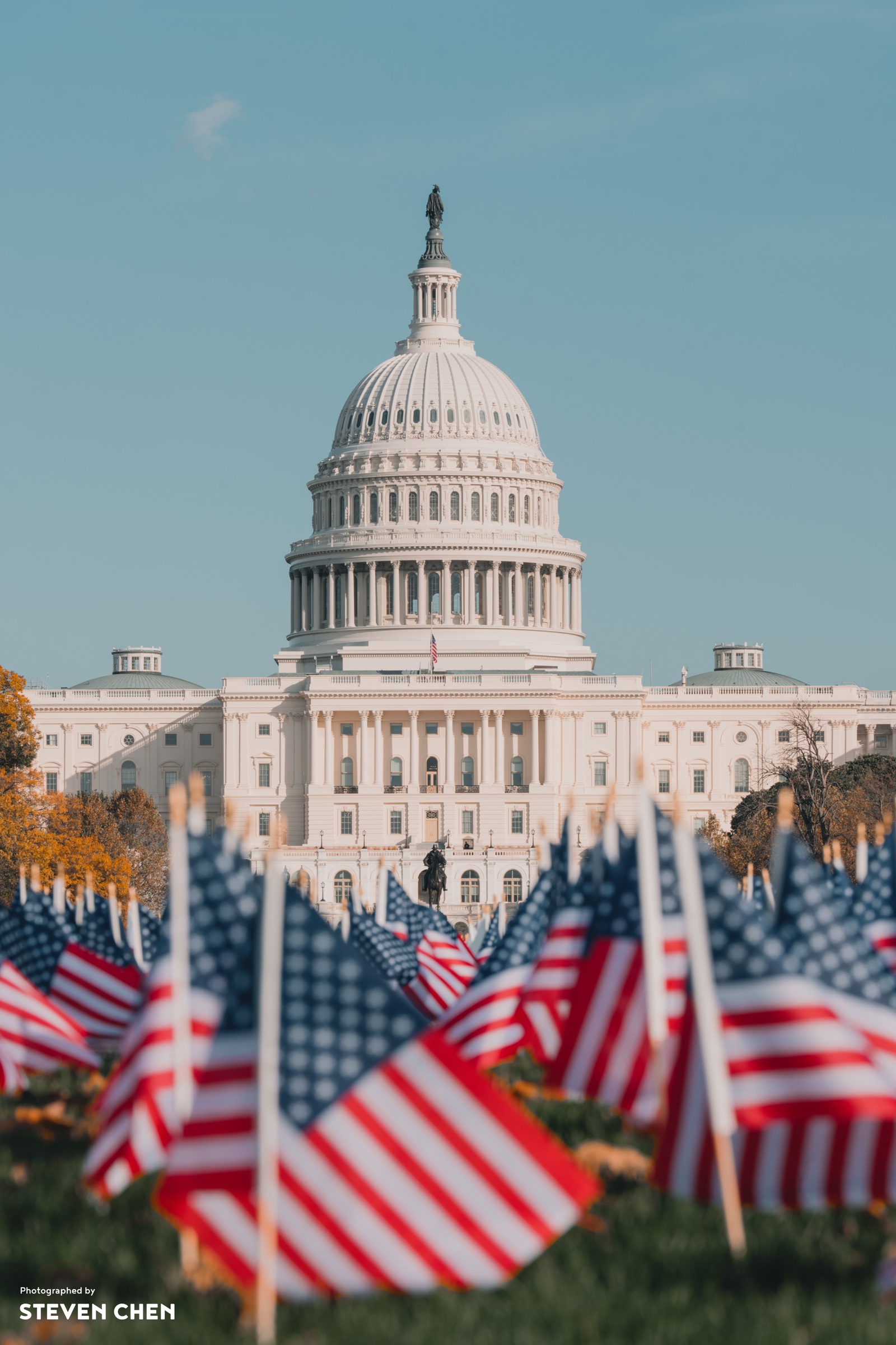 Sea of Flags